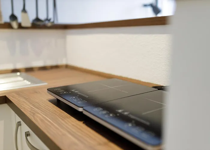 Vonmos Moselblick Lejlighed Kinheim